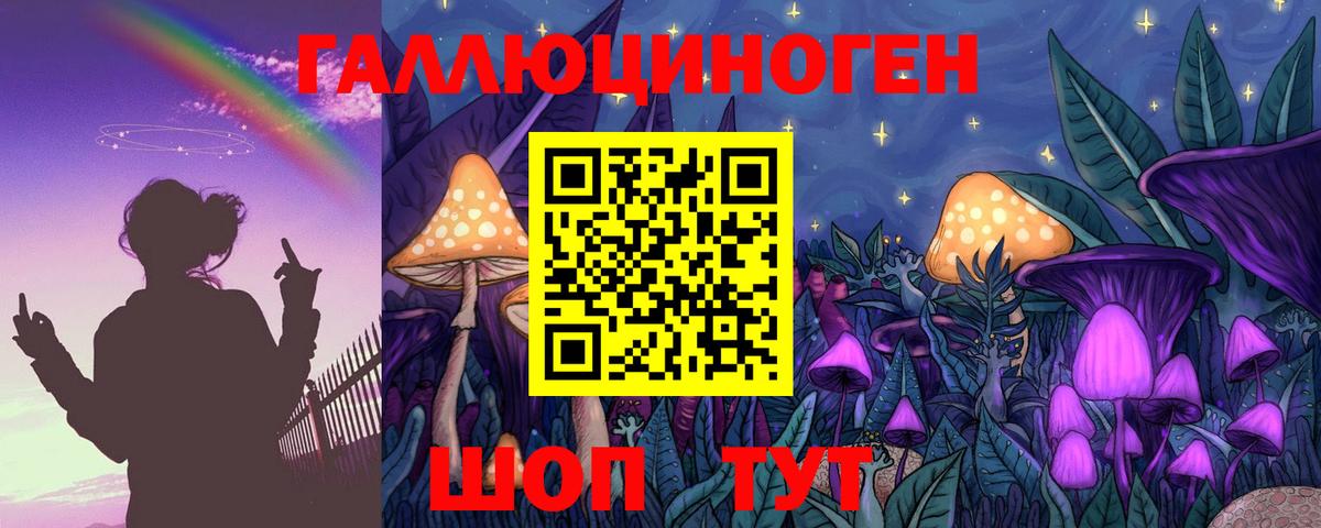 Галлюциногенные грибы Psilocybe Сарапул
